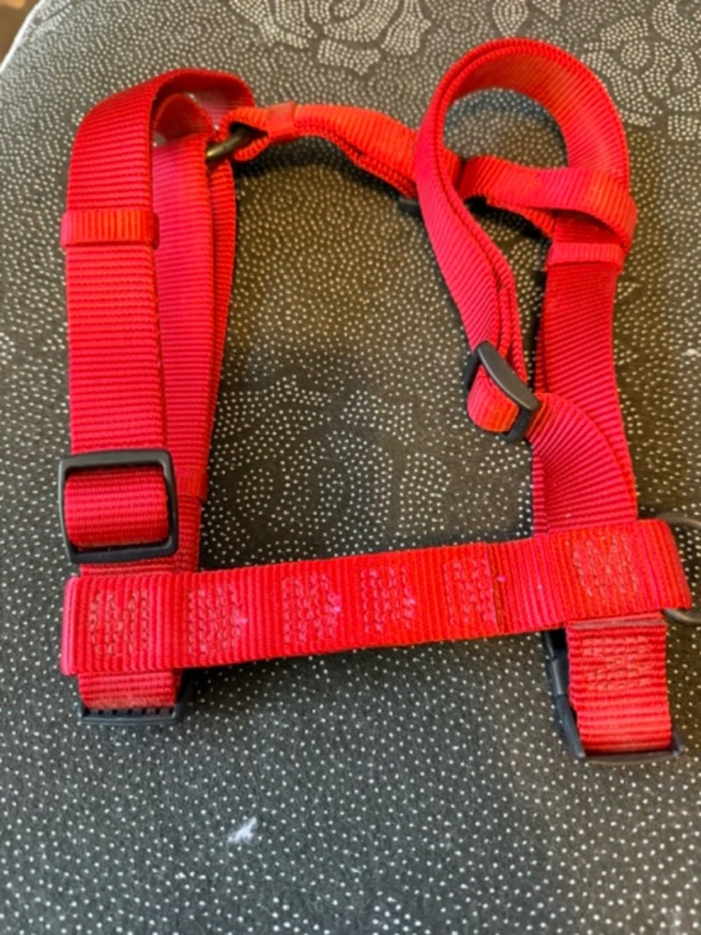 Hamilton step in dog harness